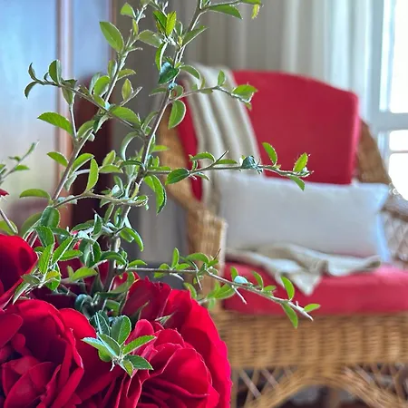 Apartment El Nido De Ris